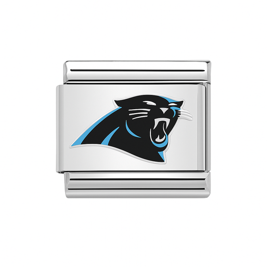 Carolina Panthers
